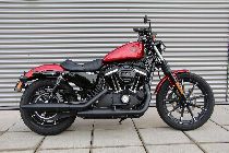 Motorrad kaufen Neufahrzeug HARLEY-DAVIDSON XL 883 N Sportster Iron (custom)