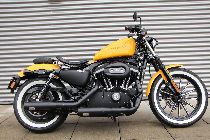 Motorrad kaufen Occasion HARLEY-DAVIDSON XL 883 N Iron (custom)