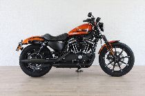 Motorrad kaufen Neufahrzeug HARLEY-DAVIDSON XL 883 N Sportster Iron (custom)