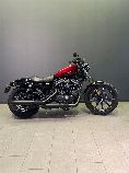 Motorrad kaufen Occasion HARLEY-DAVIDSON XL 883 N Iron ABS (custom)