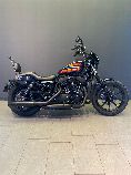 Motorrad kaufen Occasion HARLEY-DAVIDSON XL 1200 NS Sportster Iron (custom)