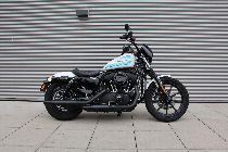 Motorrad kaufen Occasion HARLEY-DAVIDSON XL 1200 NS Sportster Iron (custom)