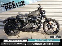 Motorrad kaufen Occasion HARLEY-DAVIDSON XL 883 N Sportster Iron (custom)