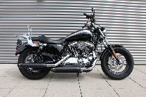Motorrad kaufen Occasion HARLEY-DAVIDSON XL 1200 C Sportster Custom (custom)