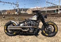 Acheter une moto Occasions HARLEY-DAVIDSON FXS 1585 Softail Blackline ABS (custom)