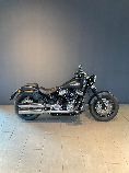 Motorrad kaufen Occasion HARLEY-DAVIDSON FLSL 1745 Softail Slim 107 (custom)