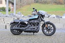 Motorrad kaufen Occasion HARLEY-DAVIDSON XL 1200 NS Sportster Iron (custom)