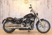 Motorrad kaufen Neufahrzeug HARLEY-DAVIDSON FXST 1745 Softail Standard 107 (custom)