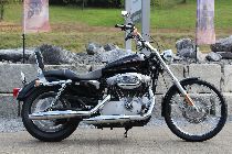 Motorrad kaufen Occasion HARLEY-DAVIDSON XL 883 C Sportster Custom (custom)