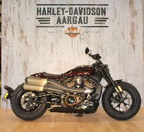 Motorrad kaufen Neufahrzeug HARLEY-DAVIDSON RH 1250 S Sportster S (custom)