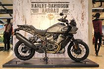 Motorrad kaufen Neufahrzeug HARLEY-DAVIDSON RA 1250 S Pan America Special (enduro)
