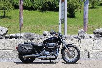 Motorrad kaufen Occasion HARLEY-DAVIDSON XL 1200 L Sportster Low (custom)
