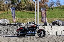 Motorrad kaufen Occasion HARLEY-DAVIDSON XL 1200 C Sportster Custom (custom)