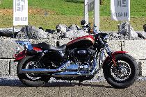 Motorrad kaufen Occasion HARLEY-DAVIDSON XL 1200 C Sportster Custom (custom)
