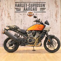 Motorrad kaufen Neufahrzeug HARLEY-DAVIDSON RA 1250 S Pan America Special (enduro)