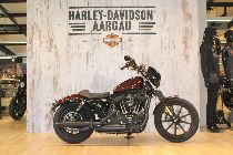 Motorrad kaufen Neufahrzeug HARLEY-DAVIDSON XL 1200 NS Sportster Iron (custom)