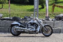 Motorrad kaufen Occasion HARLEY-DAVIDSON VRSCA 1130 V-Rod (custom)