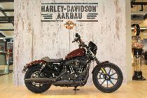 Motorrad kaufen Neufahrzeug HARLEY-DAVIDSON XL 1200 NS Sportster Iron (custom)