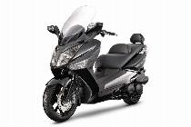 Motorrad kaufen Neufahrzeug SYM GTS 125i ABS (roller)