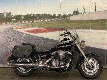 Motorrad kaufen Occasion YAMAHA XVS 1300 A Midnight Star (custom)