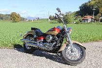 Motorrad kaufen Occasion YAMAHA XVS 650 A Drag Star (custom)