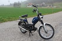 Motorrad kaufen Occasion PONY GTX (mofa)