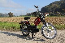  Motorrad kaufen Neufahrzeug PONY GTX (mofa)