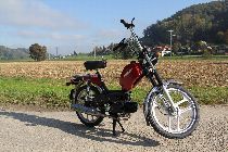 Motorrad kaufen Neufahrzeug PONY GTX (mofa)