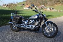 Motorrad kaufen Occasion YAMAHA XVS 650 Drag Star (custom)