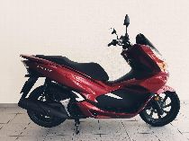 Motorrad kaufen Neufahrzeug HONDA PCX WW 125 A (roller)