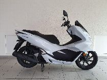 Motorrad kaufen Neufahrzeug HONDA PCX WW 125 A (roller)