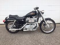 Motorrad kaufen Occasion HARLEY-DAVIDSON XL 883 53C Sportster (custom)