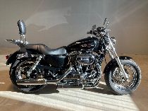 Motorrad kaufen Occasion HARLEY-DAVIDSON XL 1200 C Sportster Custom (custom)