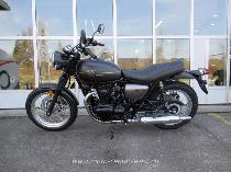 Motorrad kaufen Neufahrzeug KAWASAKI W 800 (retro)