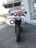 Motorrad kaufen Neufahrzeug KAWASAKI W 800 (retro)