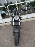 Motorrad kaufen Neufahrzeug YAMAHA XSR 700 ABS (retro)