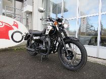 Motorrad kaufen Occasion KAWASAKI W 800 (retro)