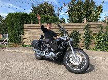 Motorrad kaufen Occasion YAMAHA XVS 650 Drag Star (custom)