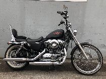 Motorrad kaufen Occasion HARLEY-DAVIDSON XL 1200 V Sportster Seventy-Two (custom)