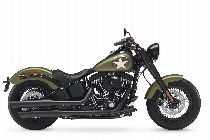 Motorrad kaufen Neufahrzeug HARLEY-DAVIDSON FLSS 1801 Softail Slim S ABS (custom)
