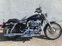 Motorrad kaufen Occasion HARLEY-DAVIDSON XL 1200 C Sportster Custom (custom)