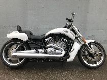 Motorrad kaufen Occasion HARLEY-DAVIDSON VRSCF 1250 V-Rod Muscle ABS (custom)