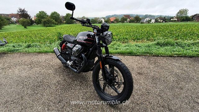  Motorrad kaufen MOTO GUZZI V7 850 Stone Special Edition Neufahrzeug