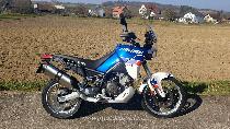  Motorrad kaufen Neufahrzeug APRILIA Tuareg 660 (enduro)