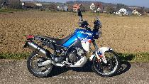 Motorrad kaufen Neufahrzeug APRILIA Tuareg 660 (enduro)