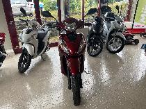 Motorrad kaufen Neufahrzeug HONDA NSC 110 Vision (roller)