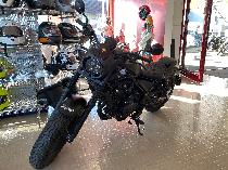 Motorrad kaufen Neufahrzeug HONDA CMX 500 Rebel (custom)