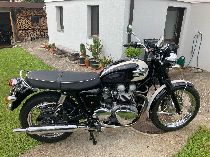 Motorrad kaufen Occasion TRIUMPH Bonneville T100 900 (retro)