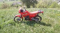 Motorrad kaufen Occasion HONDA NX 650 Dominator (enduro)