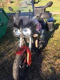 Motorrad kaufen Occasion MOTO GUZZI Stelvio 1200 8V (enduro)